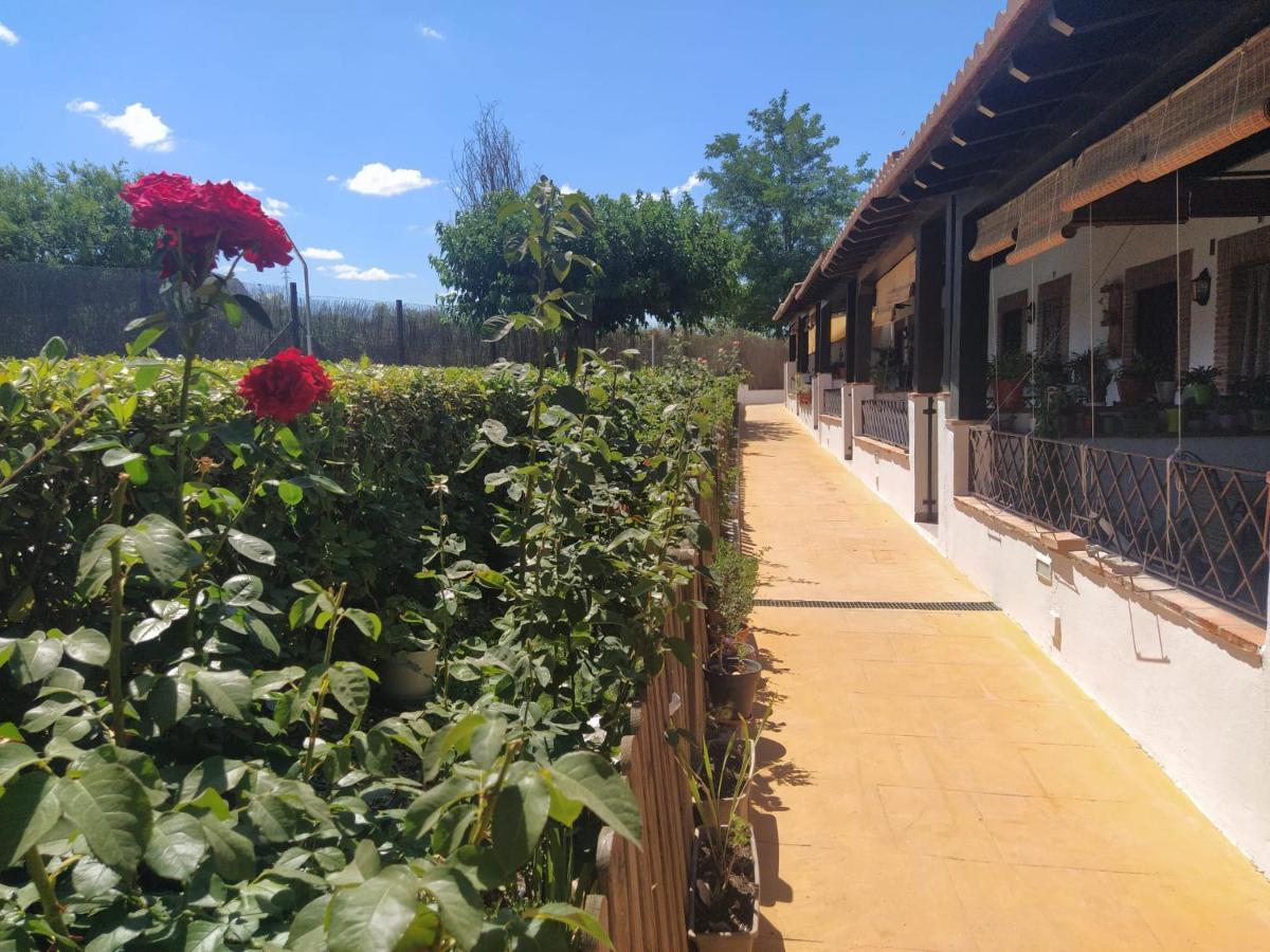 Casa Rural Alamillo Luque Buitenkant foto